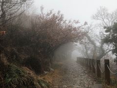 -虞山风景区