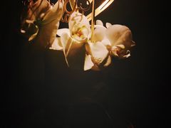 -Biteology Artisan Cakes(红庄·国际文化保税创新园店)