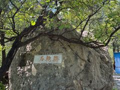-阳台山自然风景区
