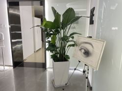 -处女座·MISS VIRGO·半永久纹眉野生眉