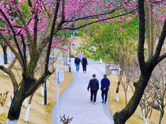-沐仙湖湿地公园