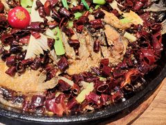 -老板恋上鱼(恒隆广场店)