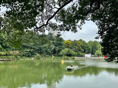 -红梅公园