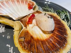 -Oyster Talks 四度蚝法餐厅