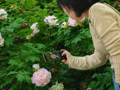 -洛阳市隋唐城遗址植物园