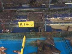 水产区-四海之家(蛇口店)