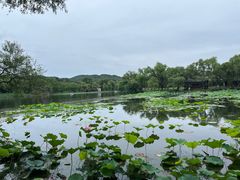 -承德避暑山庄景区