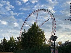 -辛玛王国游乐园