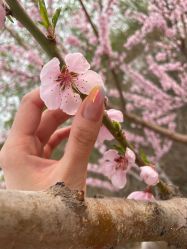 -Beauty nail伊佳靓丽美甲美睫