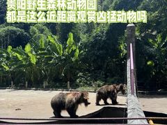 -贵州森林野生动物园