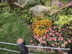 -上海共青森林公园