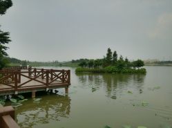 东湖小岛-云湖游乐园