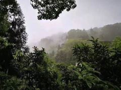 -南山植物园