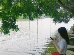 -三水森林公园