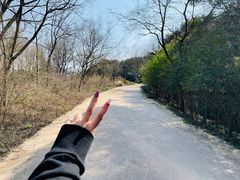 -西湖风景区-江洋畈生态公园