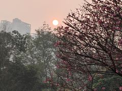-重庆彩云湖湿地公园