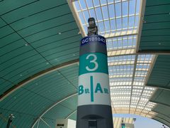 -龙阳路磁悬浮列车总站-停车场