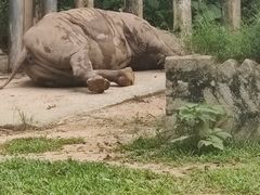 -深圳野生动物园