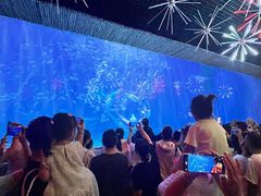 -华夏文旅海洋公园