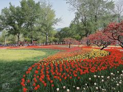 -国家植物园南园