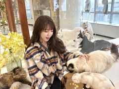 -共舞时光猫咖·狗咖(新街口店)