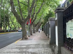 -徐家汇源景区-衡山公园