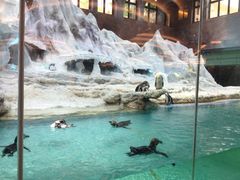 -广东省拱北口岸中国旅行社(华宾营业部)