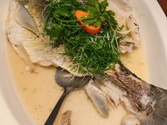 -山水茶艺馆·点心粤菜·30年老字号