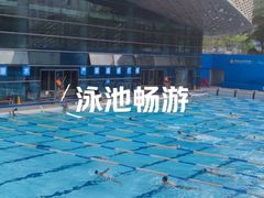 -南山文体中心-游泳馆