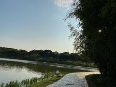 -东莞植物园