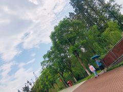 -上海长兴岛郊野公园