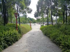 -眉山湿地公园(东坡区)