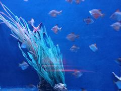 -沈阳海洋探索中心