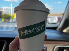 -大青树咖啡(大理古城店)