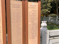 -司徒庙