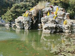 -香山公园