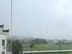 -黄牛肉馆·皖南土菜