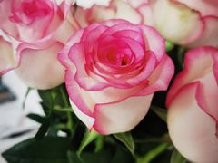 -LOHO眼镜(上海五角场合生汇店)