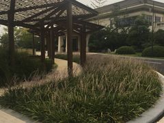 -苏州湾王焰温泉度假酒店