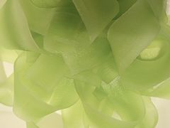 -蜀九香火锅(彩虹店)