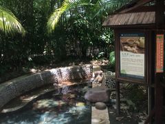 -三亚珠江南田温泉度假区