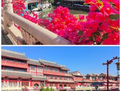 -眉山湿地公园(东坡区)