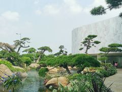 -罗红摄影艺术馆