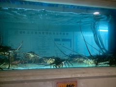 -顺峰(农展馆店)