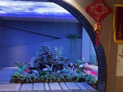 -陆琴脚艺·足浴·SPA(夫子庙店)
