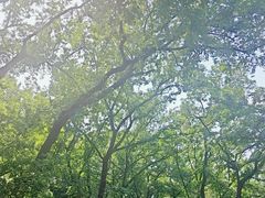 -伯先公园