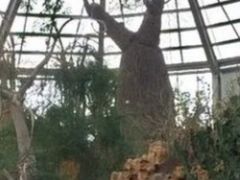 -南通洲际绿博园