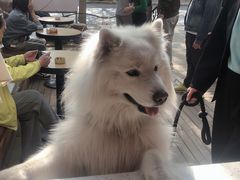 -叁秋咖啡 SANQIU COFFEE(天津河北路店)