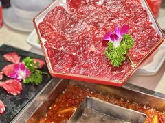 -红鼎坊·老成都火锅(新南门店)