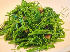 辣木苗拌鸡纵菌-永安鱼庄·镇江菜(东吴路店)